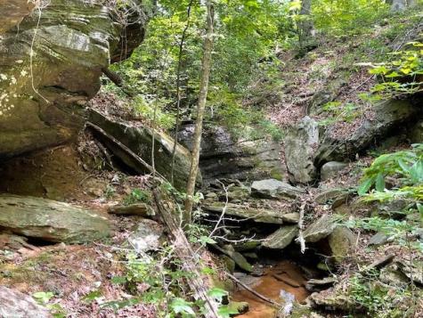 Lot 16 Fox Briar Drive Columbus NC 28722