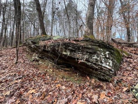 Lot 16 Fox Briar Drive Columbus NC 28722