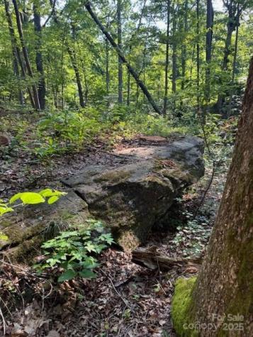 Lot 16 Fox Briar Drive Columbus NC 28722