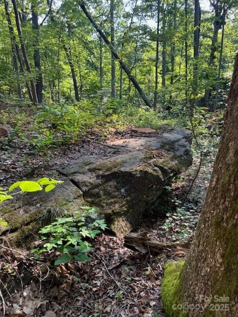 Lot 16 Fox Briar Drive Columbus NC 28722