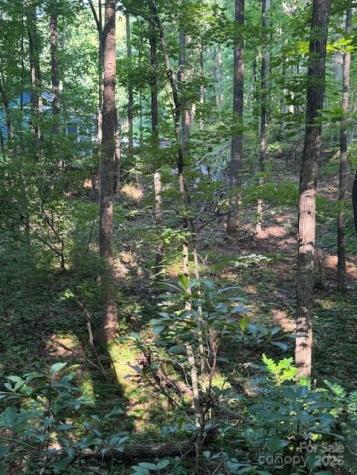 Lot 16 Fox Briar Drive Columbus NC 28722