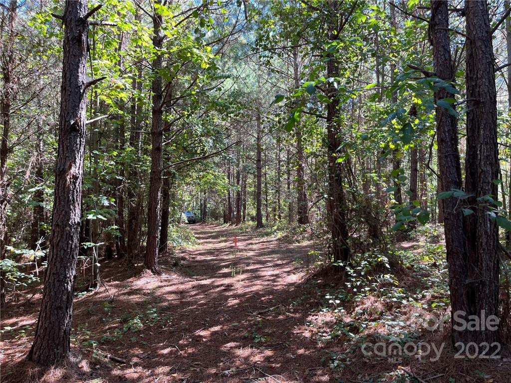0 Pearidge Road Bostic NC 28018