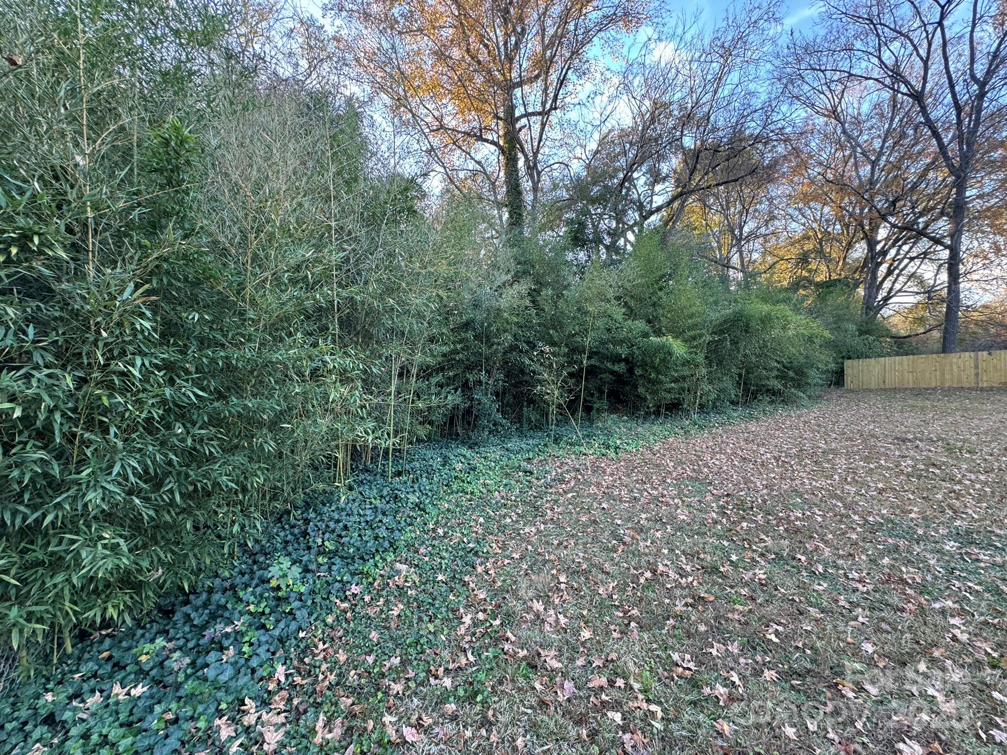 Tbd Williams Estate Drive Lancaster SC 29720