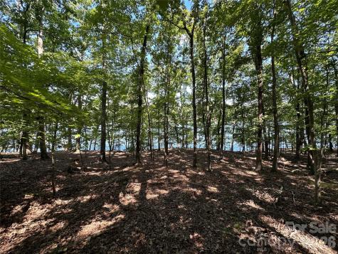 1768 Rocky Cove Lane Denton NC 27239