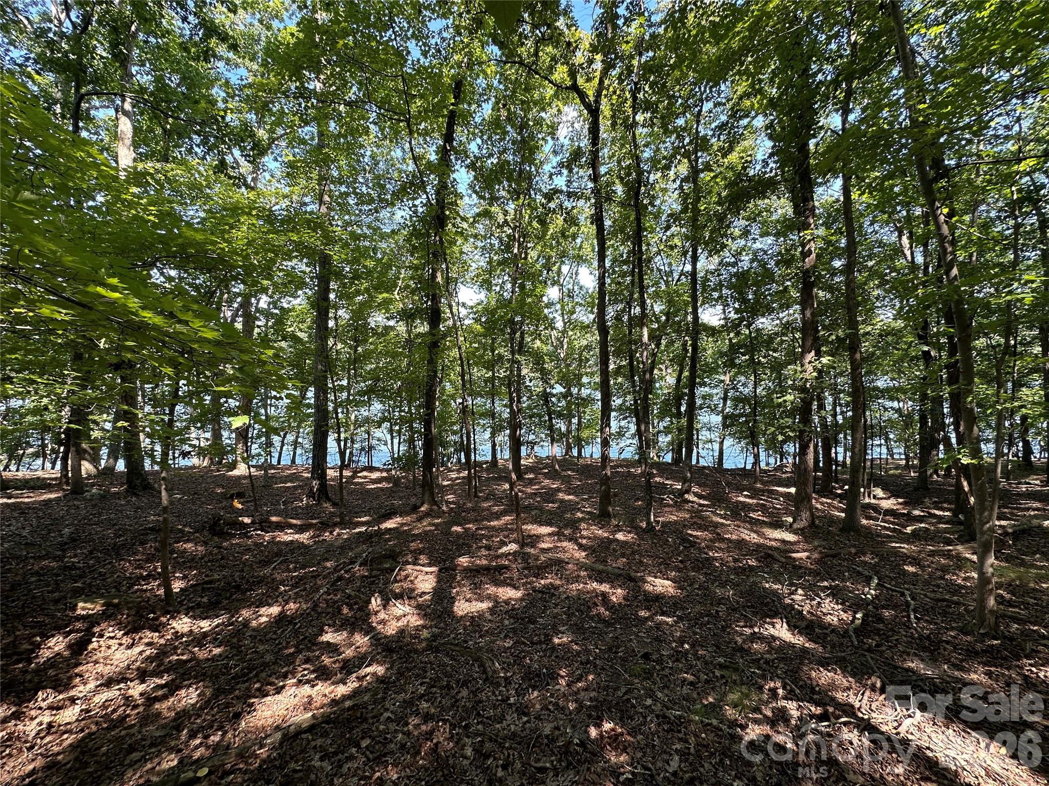 1768 Rocky Cove Lane Denton NC 27239