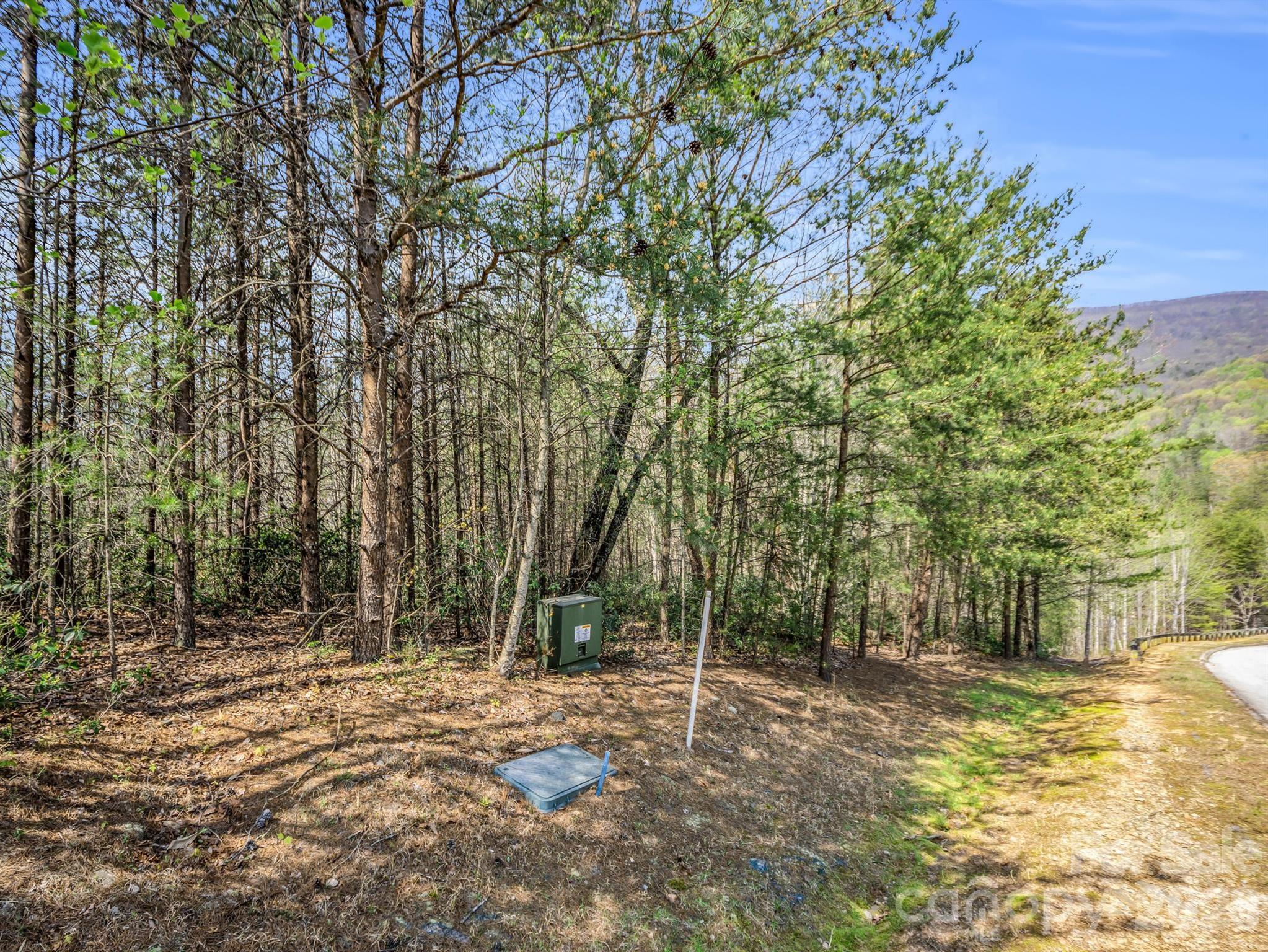 0 Chestertown Drive Mill Spring NC 28756