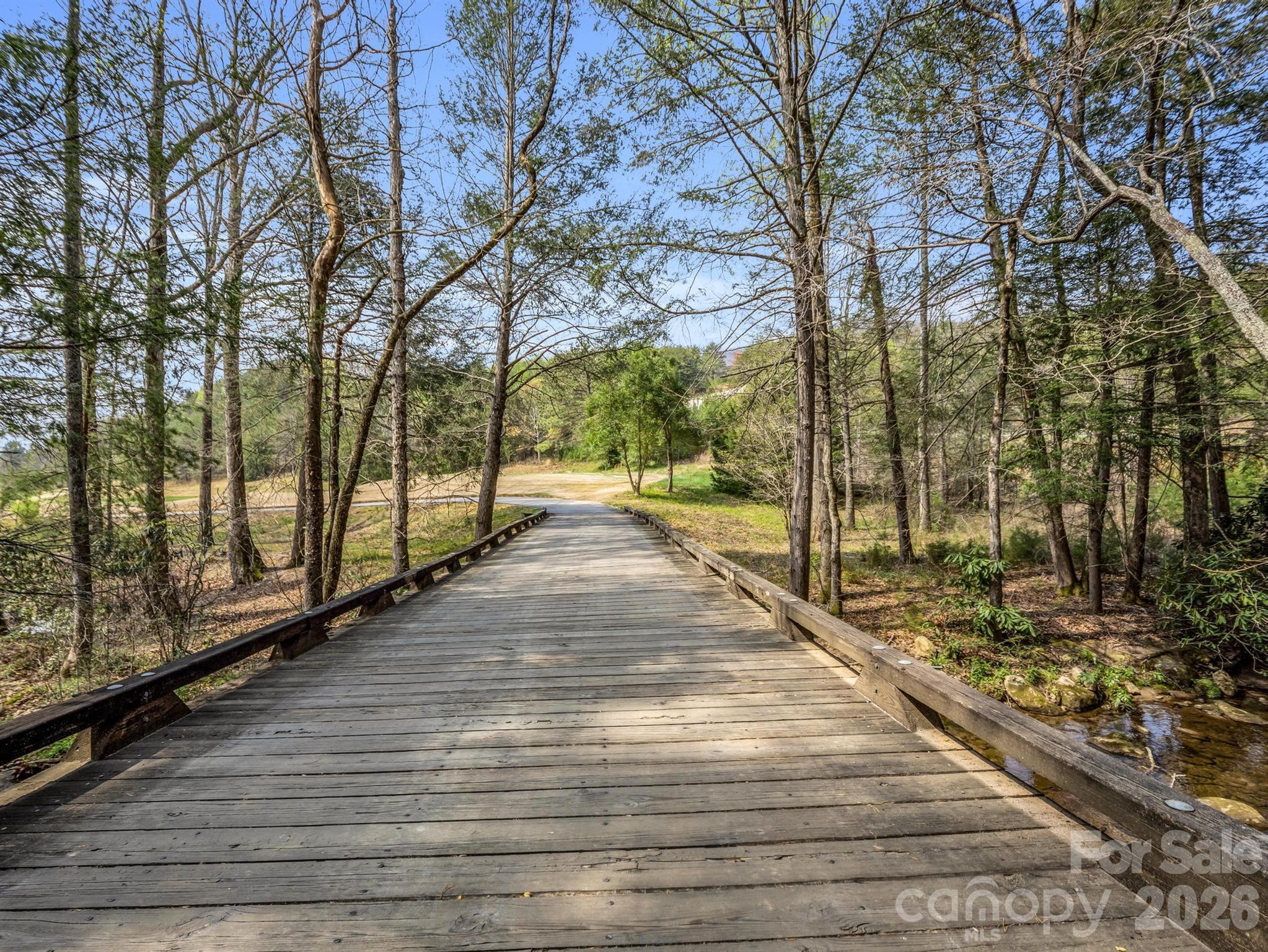 0 Chestertown Drive Mill Spring NC 28756