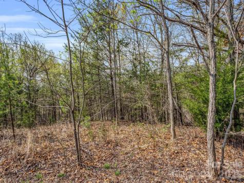 0 Chestertown Drive Mill Spring NC 28756