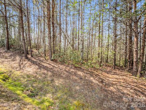 0 Chestertown Drive Mill Spring NC 28756