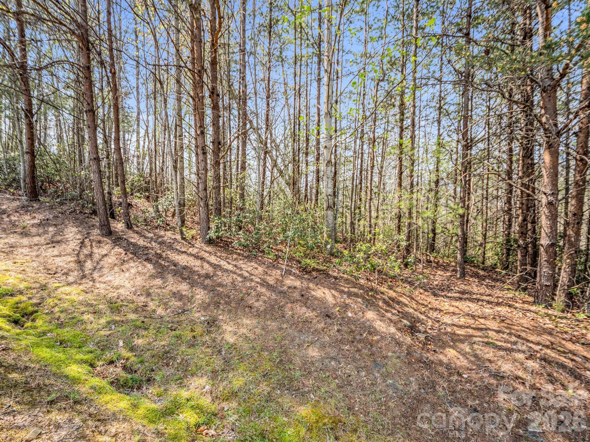 0 Chestertown Drive Mill Spring NC 28756