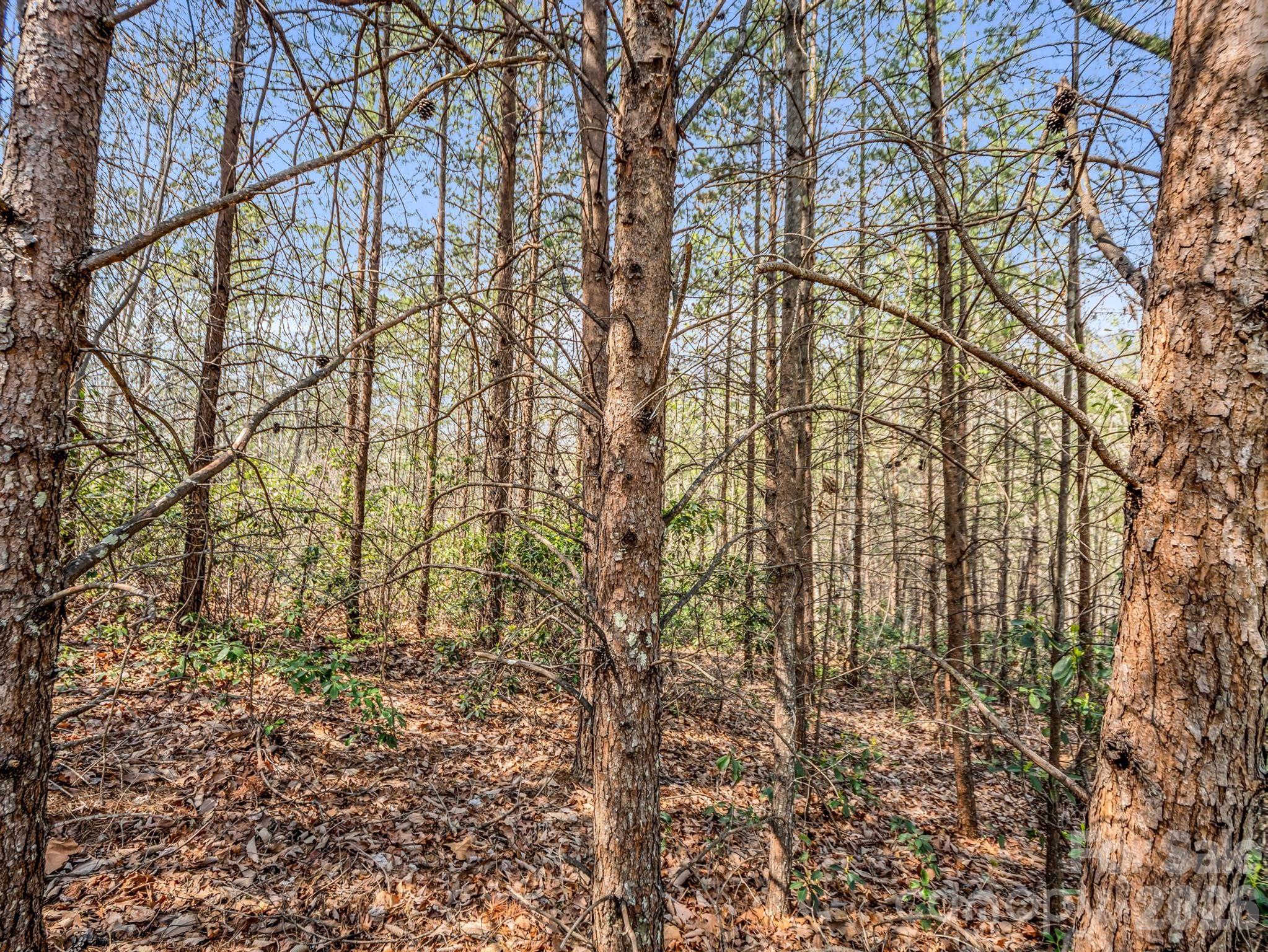 0 Chestertown Drive Mill Spring NC 28756