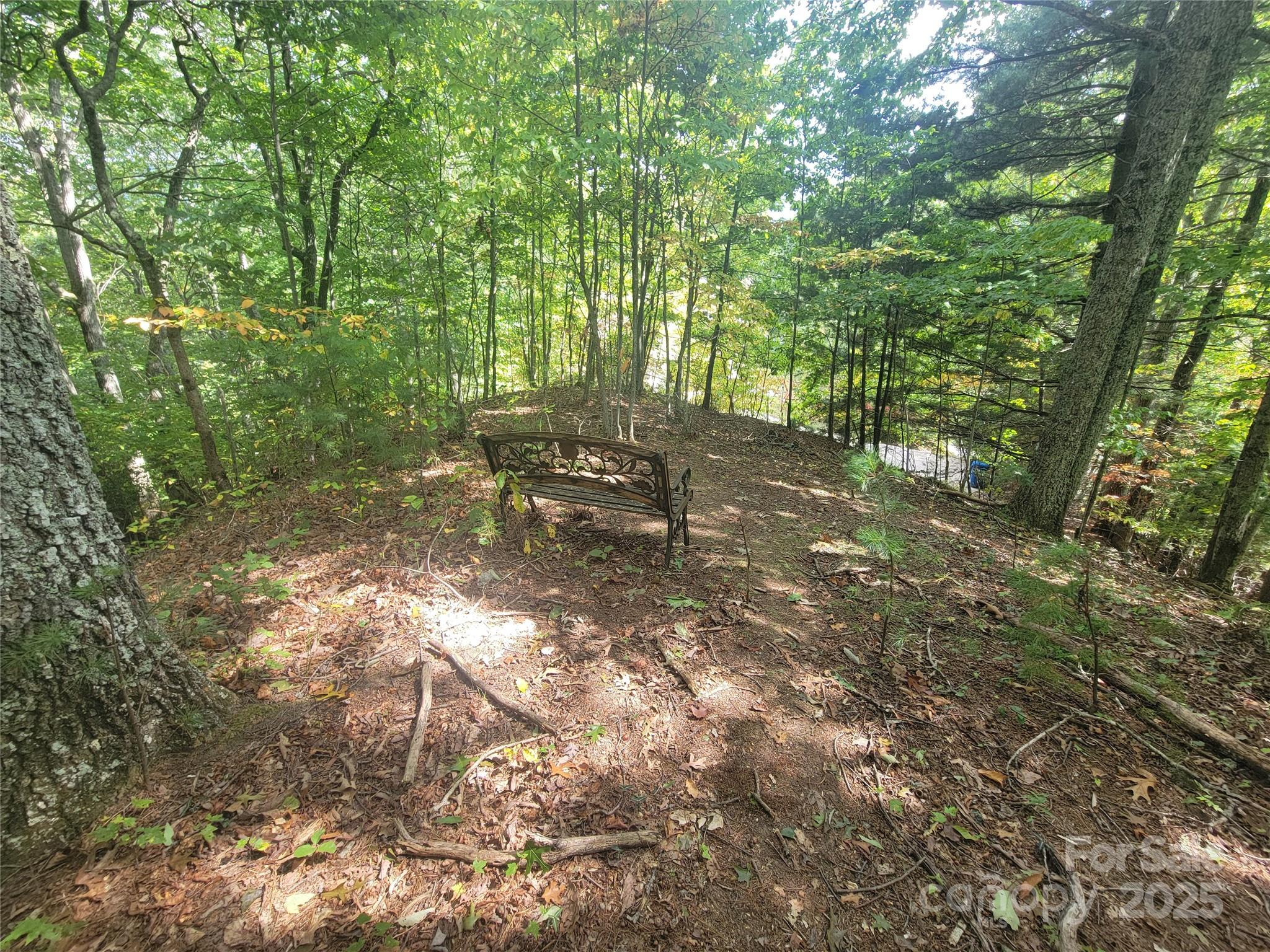 0 Pinewood Drive Waynesville NC 28786