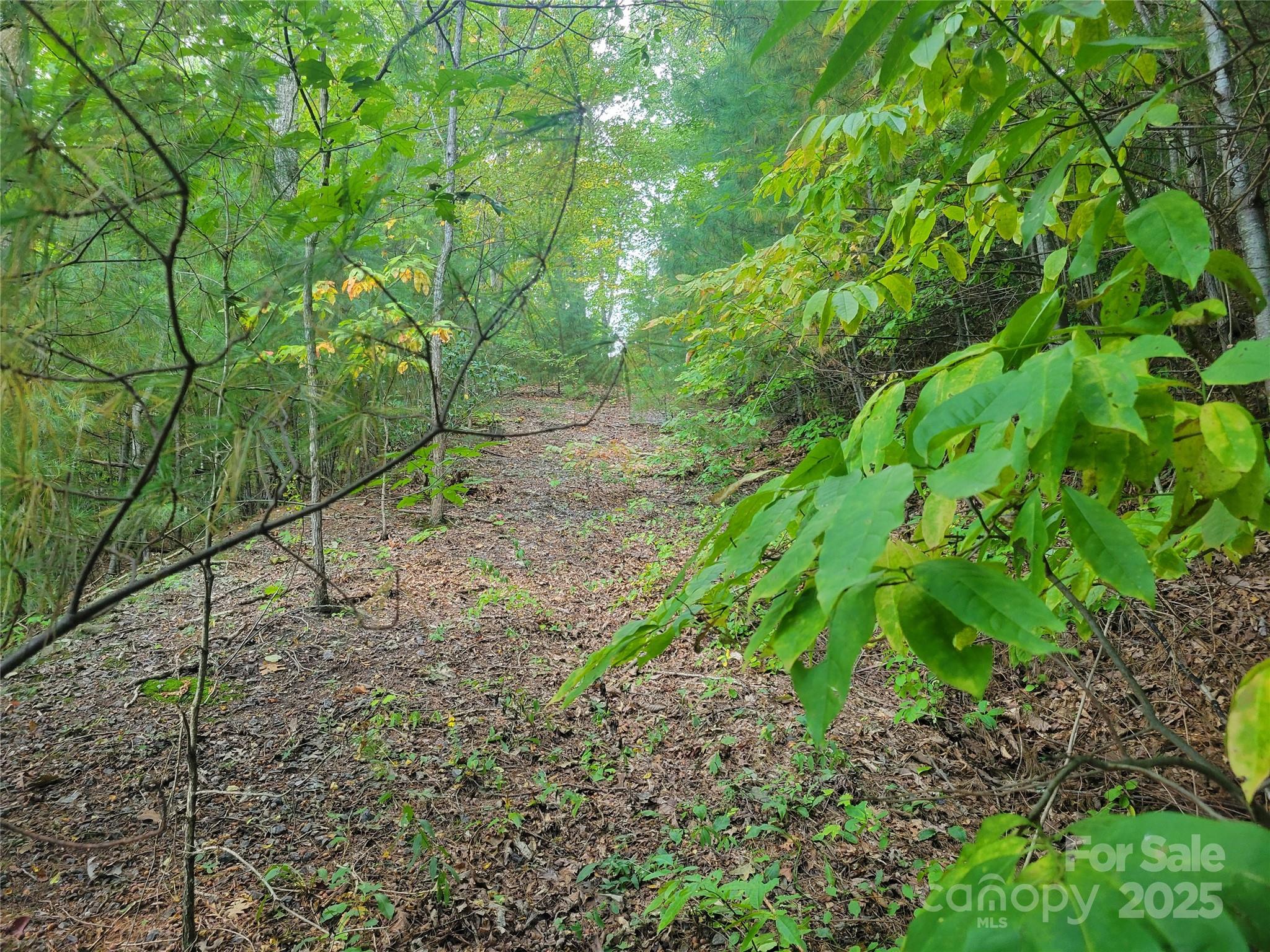 0 Pinewood Drive Waynesville NC 28786