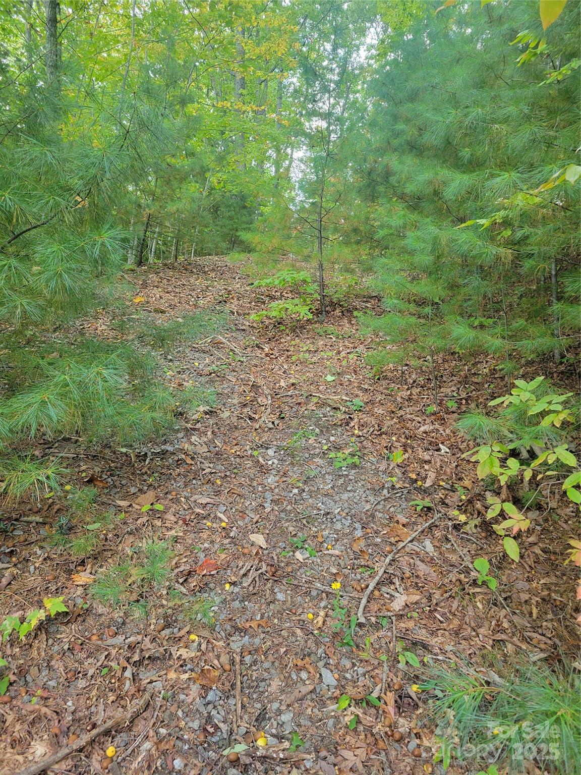 0 Pinewood Drive Waynesville NC 28786