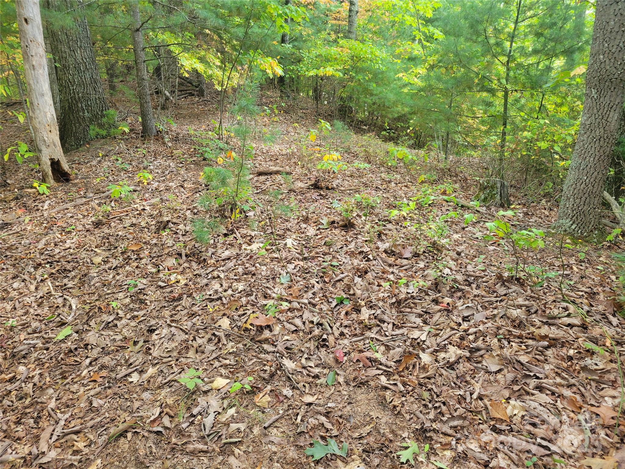 0 Pinewood Drive Waynesville NC 28786