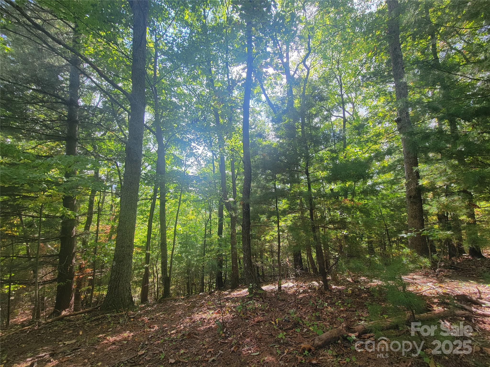0 Pinewood Drive Waynesville NC 28786