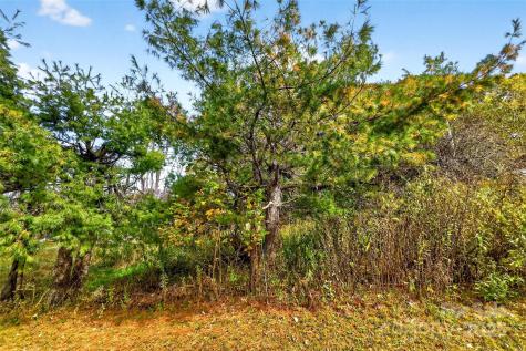 2098 Mckinney Mine Road Spruce Pine NC 28777