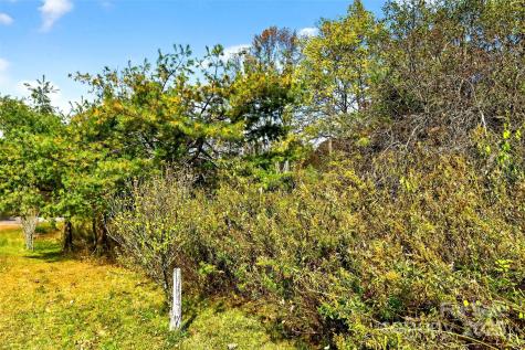 2098 Mckinney Mine Road Spruce Pine NC 28777
