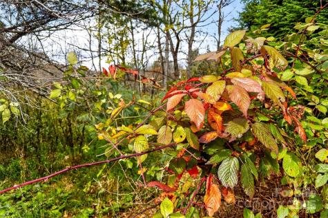 2098 Mckinney Mine Road Spruce Pine NC 28777