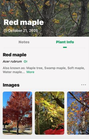 2098 Mckinney Mine Road Spruce Pine NC 28777