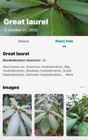 2098 Mckinney Mine Road Spruce Pine NC 28777