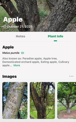 2098 Mckinney Mine Road Spruce Pine NC 28777