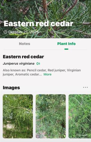 2098 Mckinney Mine Road Spruce Pine NC 28777