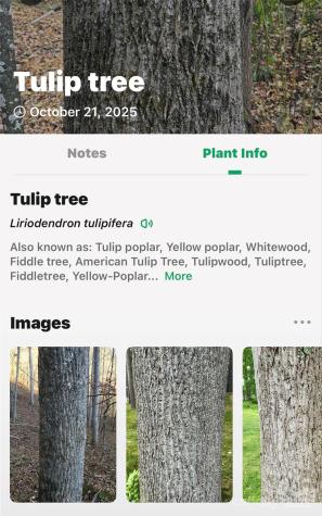 2098 Mckinney Mine Road Spruce Pine NC 28777