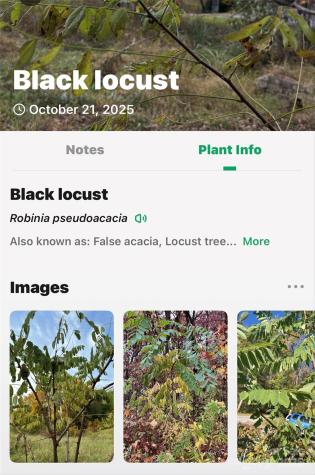 2098 Mckinney Mine Road Spruce Pine NC 28777