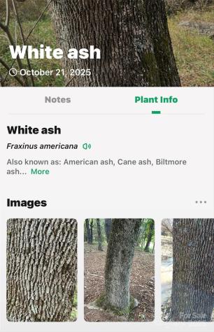 2098 Mckinney Mine Road Spruce Pine NC 28777