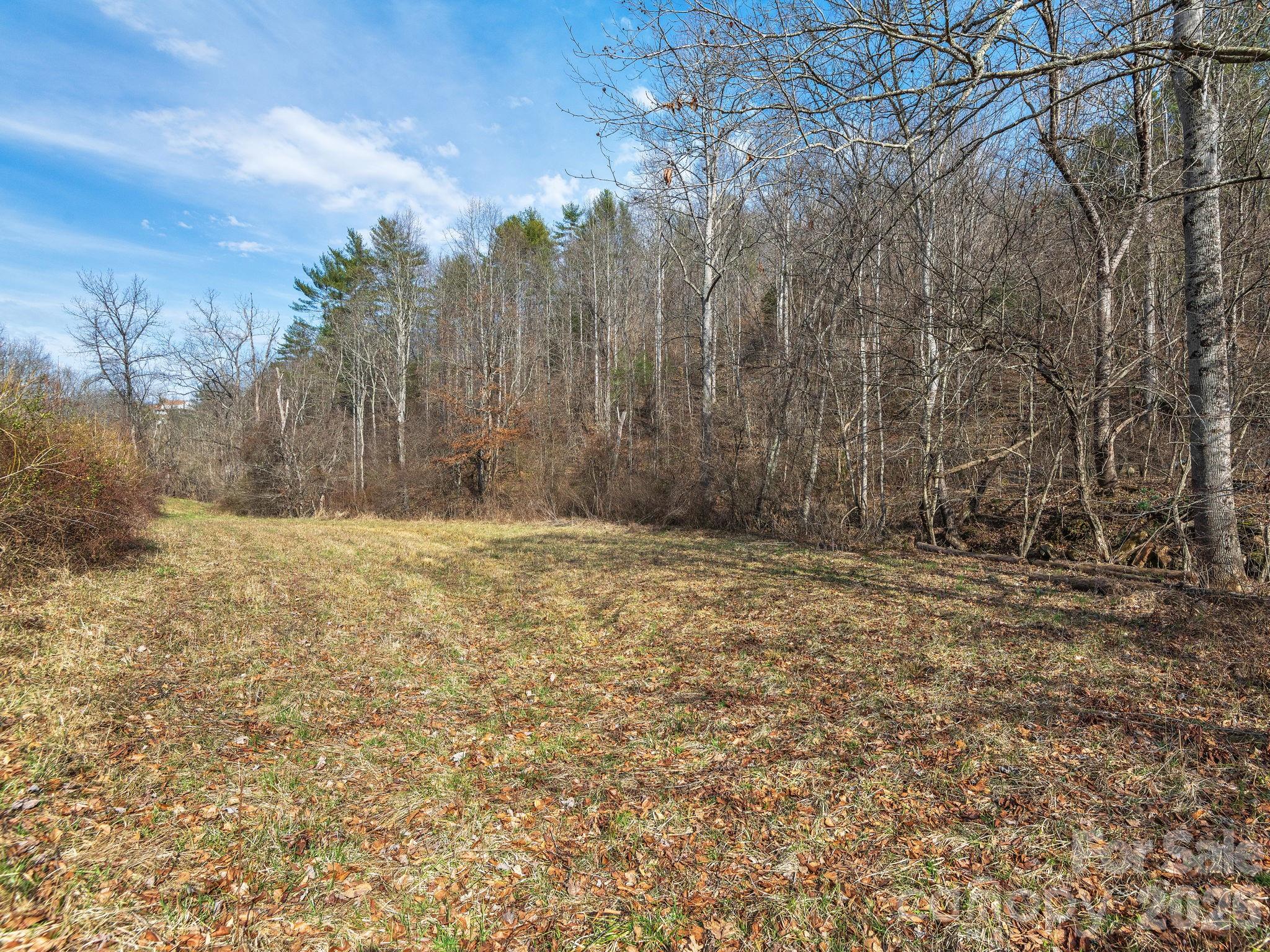 99999 Baileys Branch Road Marshall NC 28753