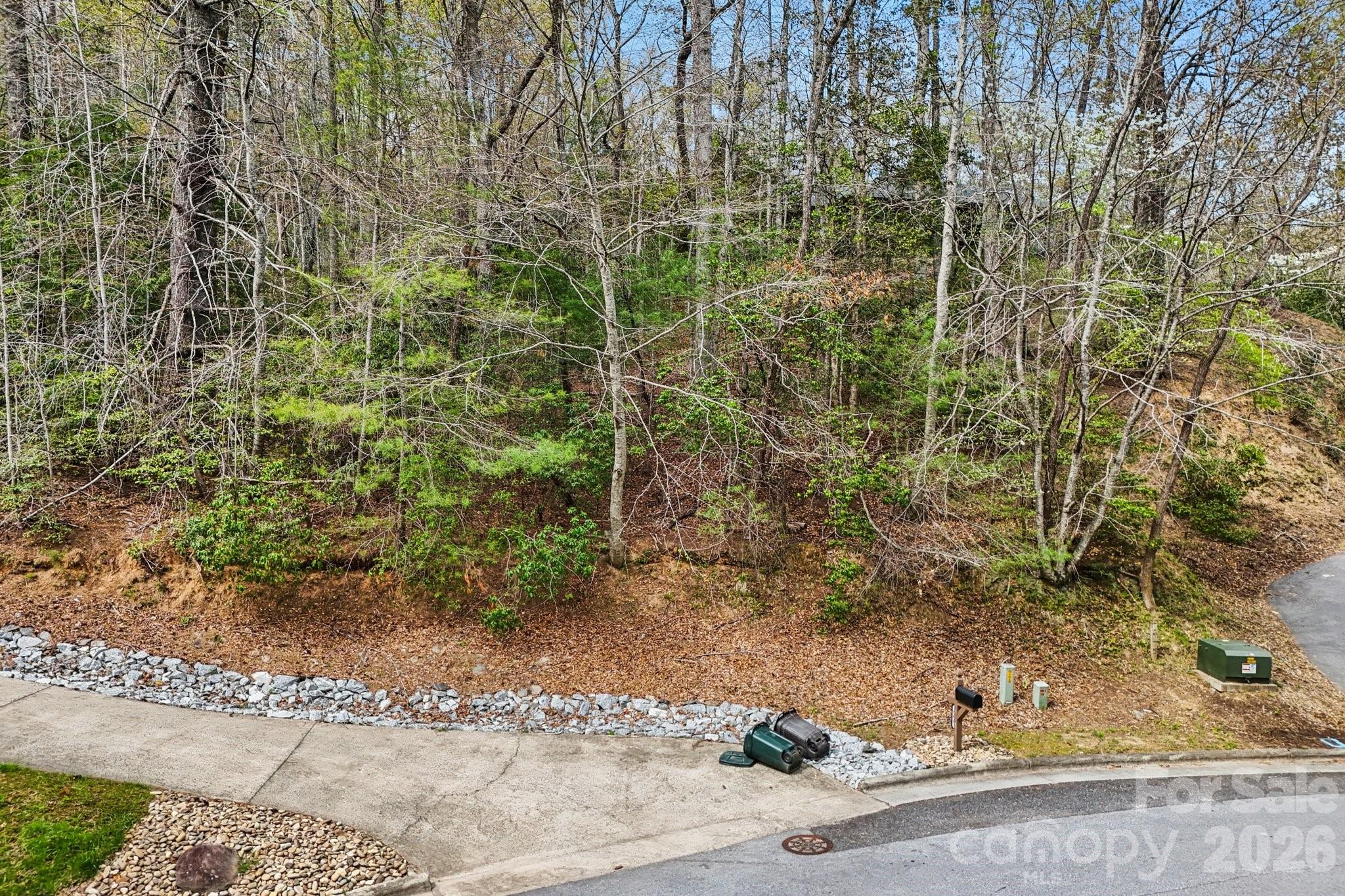 Lot 61 Deerlake Drive Brevard NC 28712