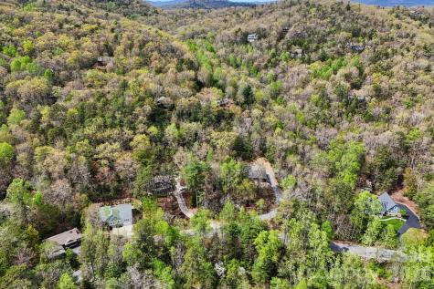 Lot 61 Deerlake Drive Brevard NC 28712