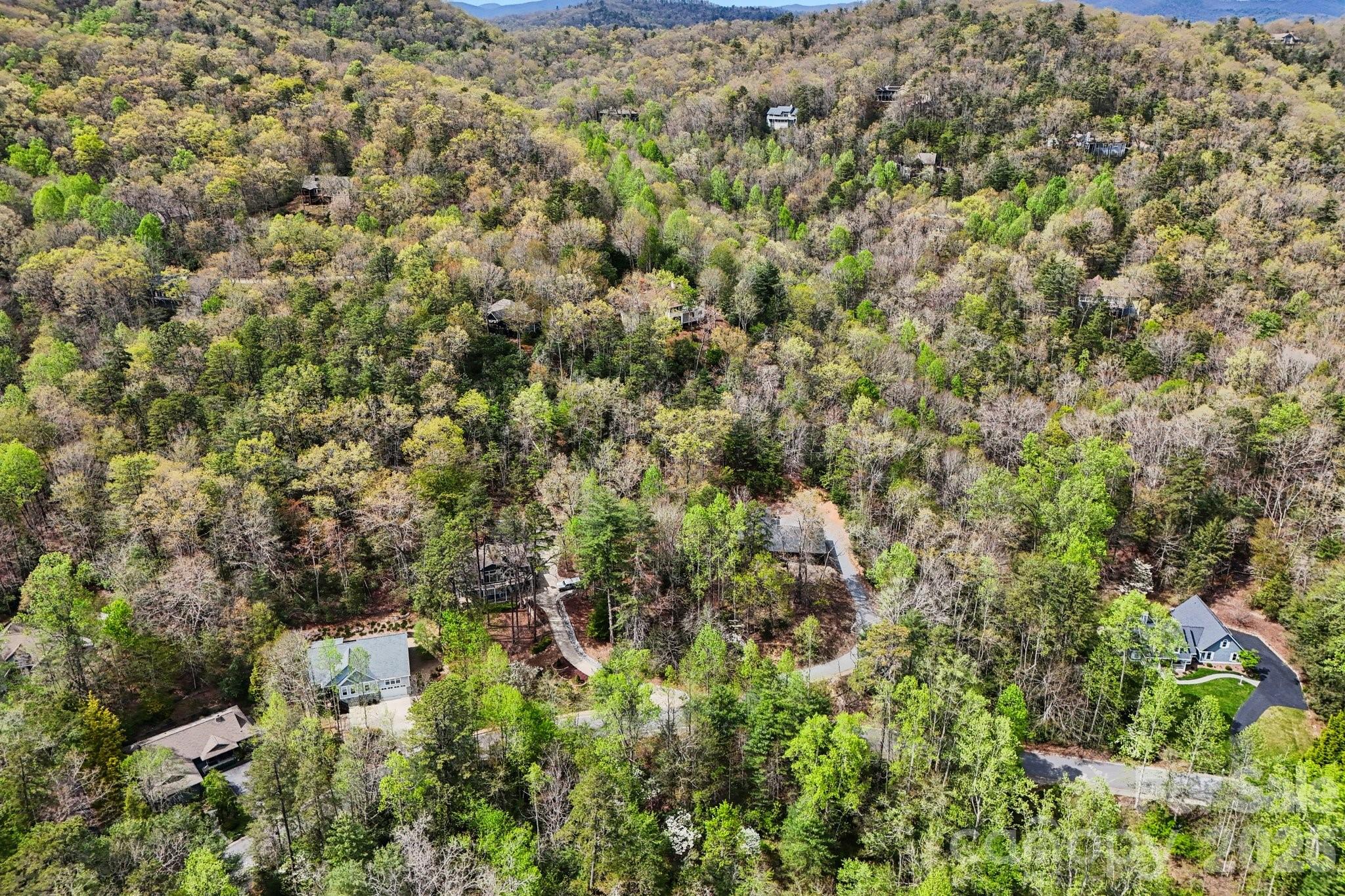 Lot 61 Deerlake Drive Brevard NC 28712