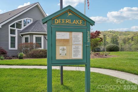 Lot 61 Deerlake Drive Brevard NC 28712