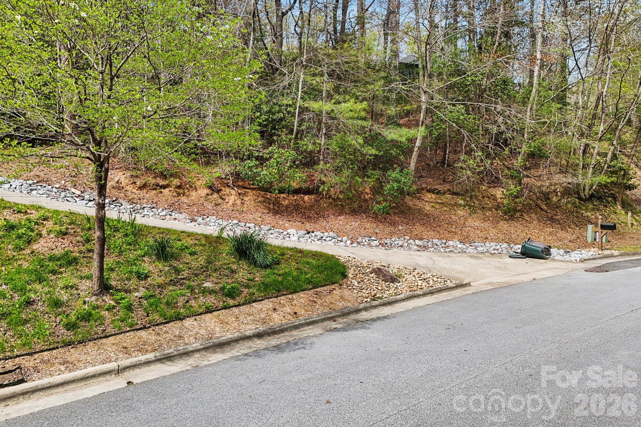 Lot 61 Deerlake Drive Brevard NC 28712