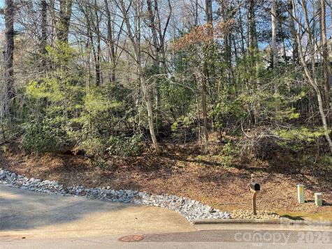 Lot 61 Deerlake Drive Brevard NC 28712
