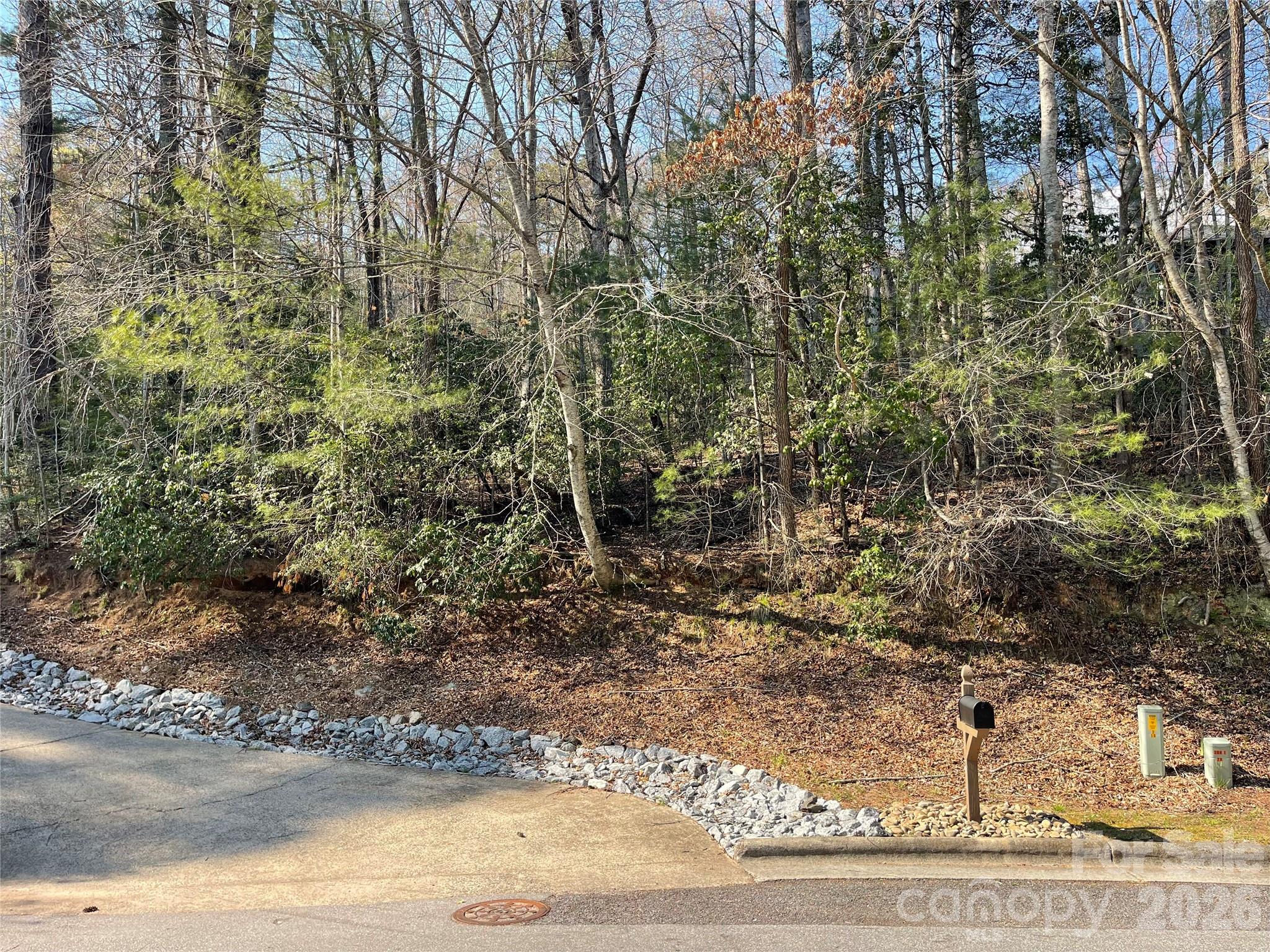 Lot 61 Deerlake Drive Brevard NC 28712