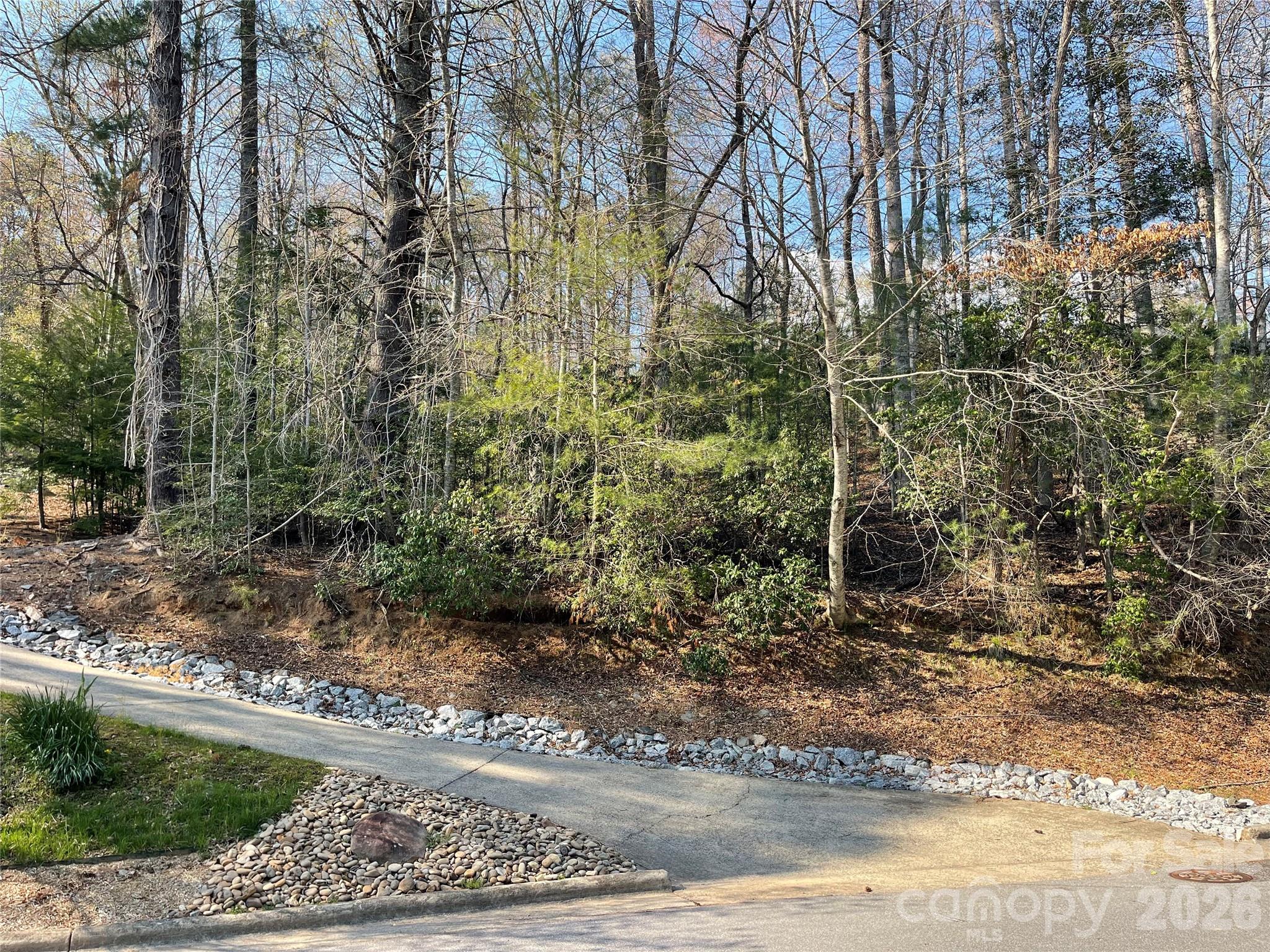 Lot 61 Deerlake Drive Brevard NC 28712