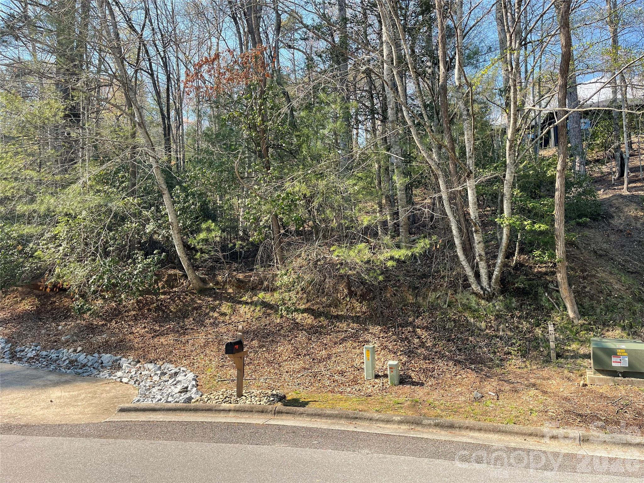 Lot 61 Deerlake Drive Brevard NC 28712