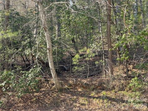 Lot 61 Deerlake Drive Brevard NC 28712