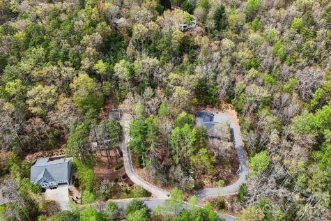 Lot 61 Deerlake Drive Brevard NC 28712