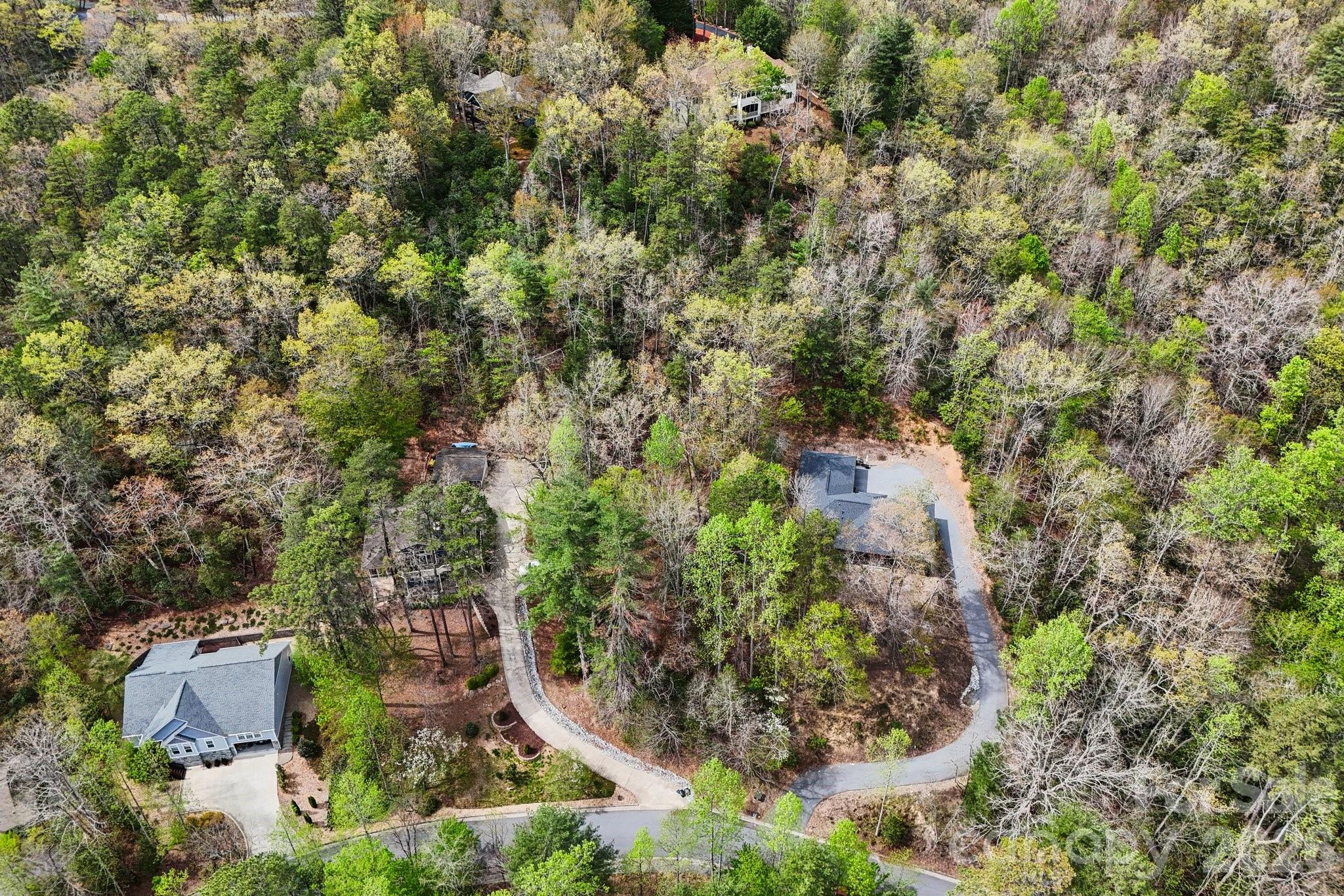 Lot 61 Deerlake Drive Brevard NC 28712
