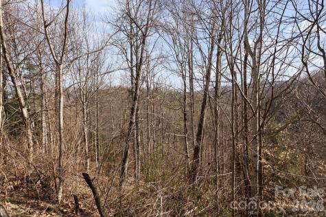 Tbd Big Rock Drive Elk Park NC 28622