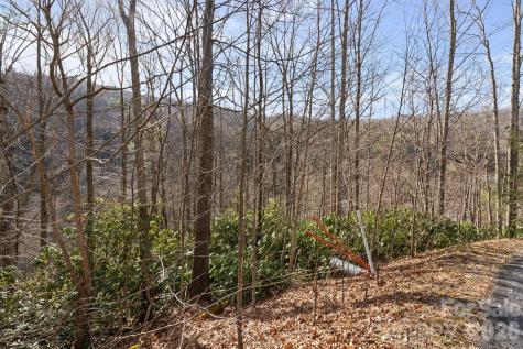 Tbd Big Rock Drive Elk Park NC 28622