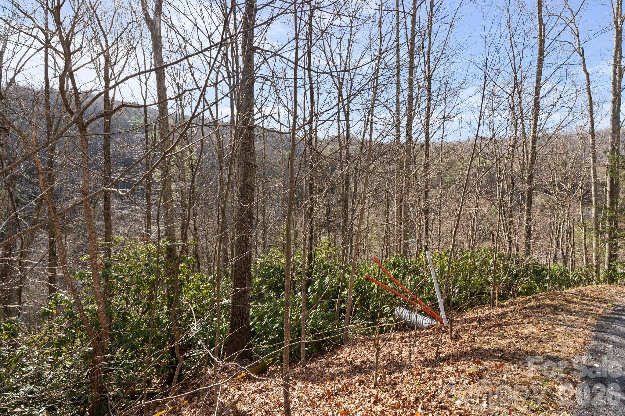 Tbd Big Rock Drive Elk Park NC 28622