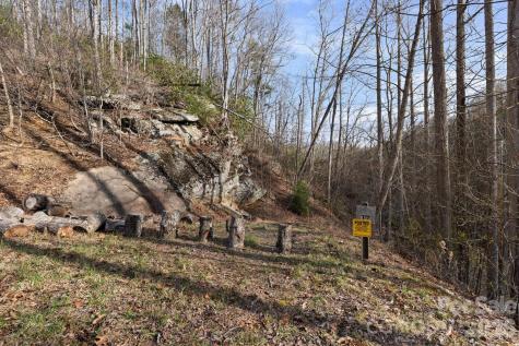 Tbd Big Rock Drive Elk Park NC 28622