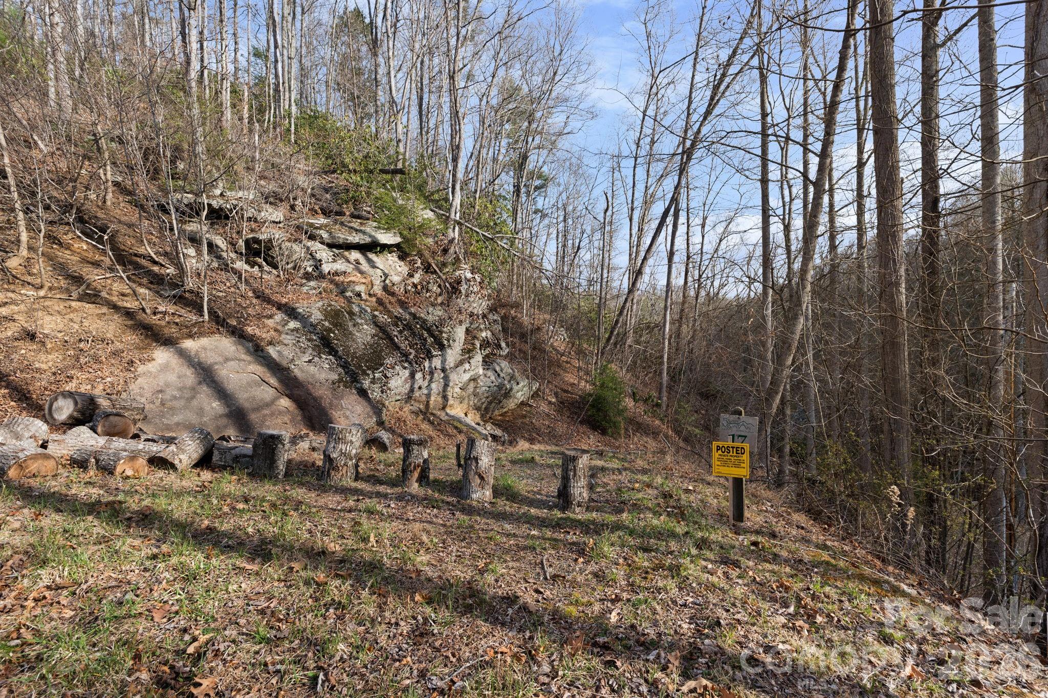 Tbd Big Rock Drive Elk Park NC 28622