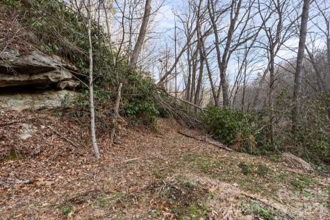 Tbd Big Rock Drive Elk Park NC 28622
