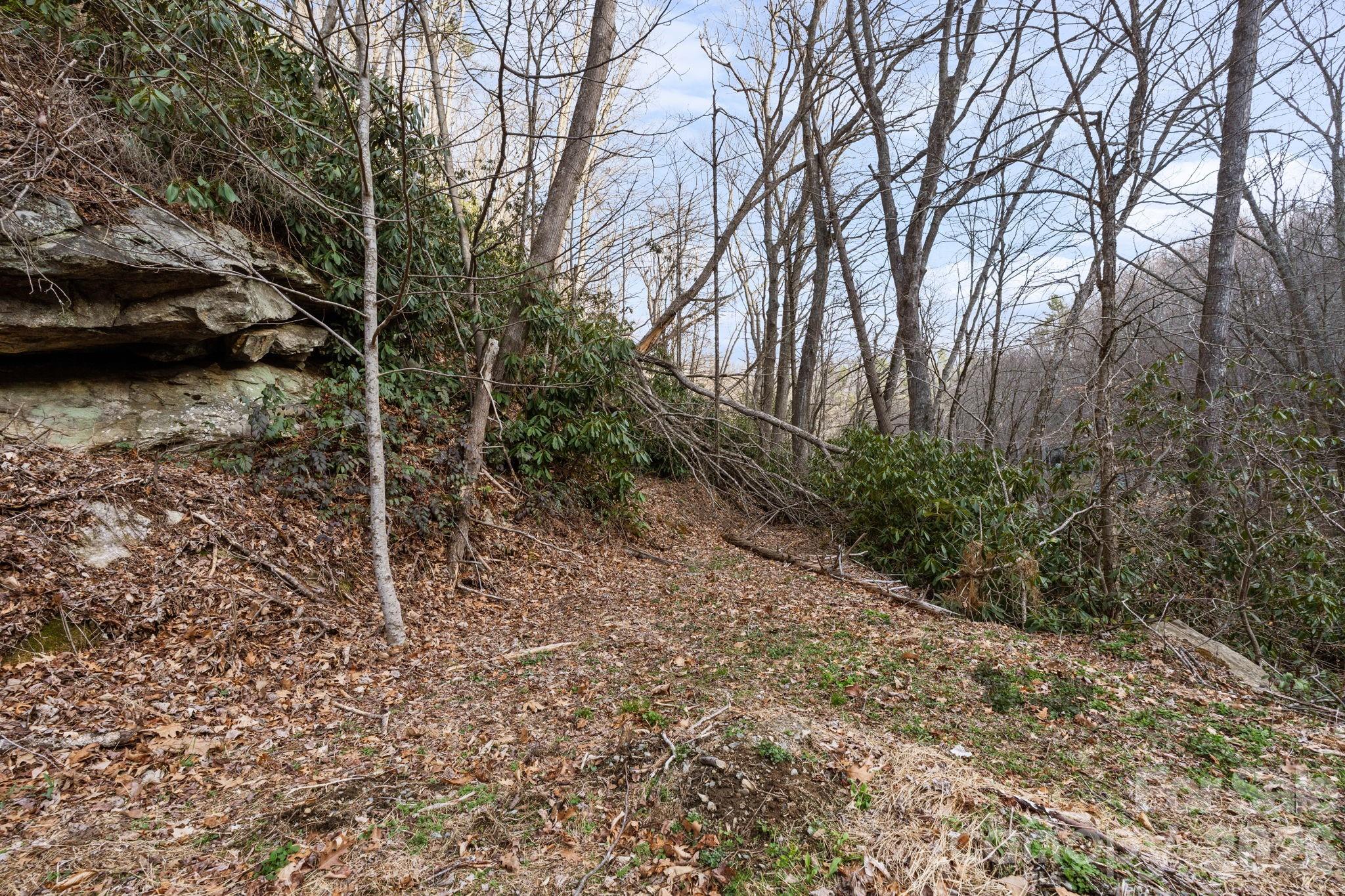 Tbd Big Rock Drive Elk Park NC 28622